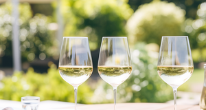 Sauvignon Wine Picks: Top 4 Best Sauvignon Blancs for Summer Sipping