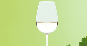 Sauvignon Wine 101: A Beginner's Guide to Understanding Sauvignon Blanc